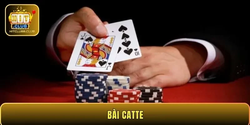 Bài Catte