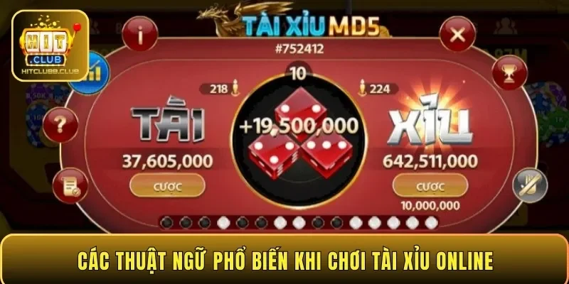 Các thuật ngữ phổ biến khi chơi tài xỉu online